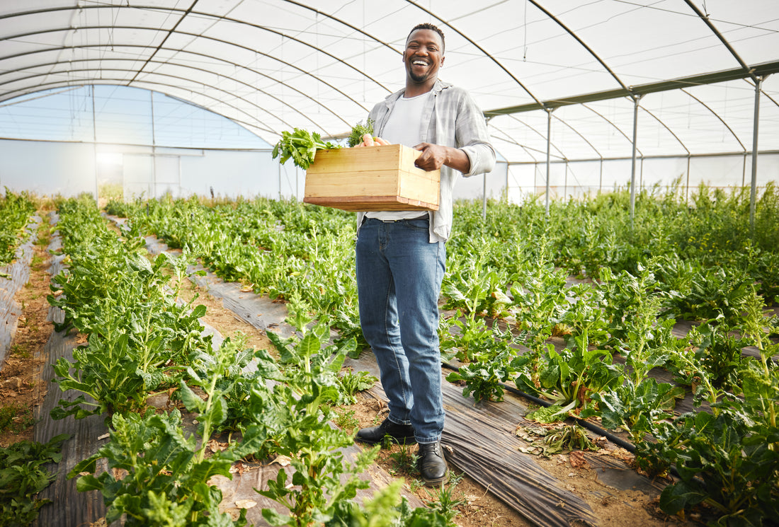 Serving up Sustainability: Top Sustainable Food Brands in the UK Making a Difference