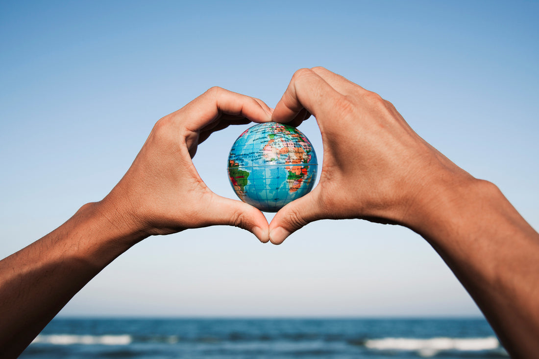 Embrace the Green Life: Your Comprehensive Guide on How to Live a Sustainable Lifestyle