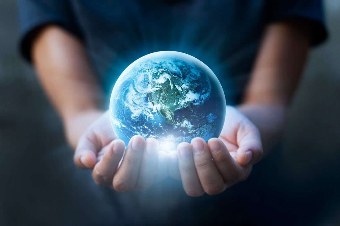 The Importance of Green Practices | Why Is a Sustainable Future Important?