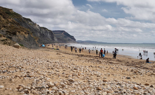 Bower Beach Clean September 2022