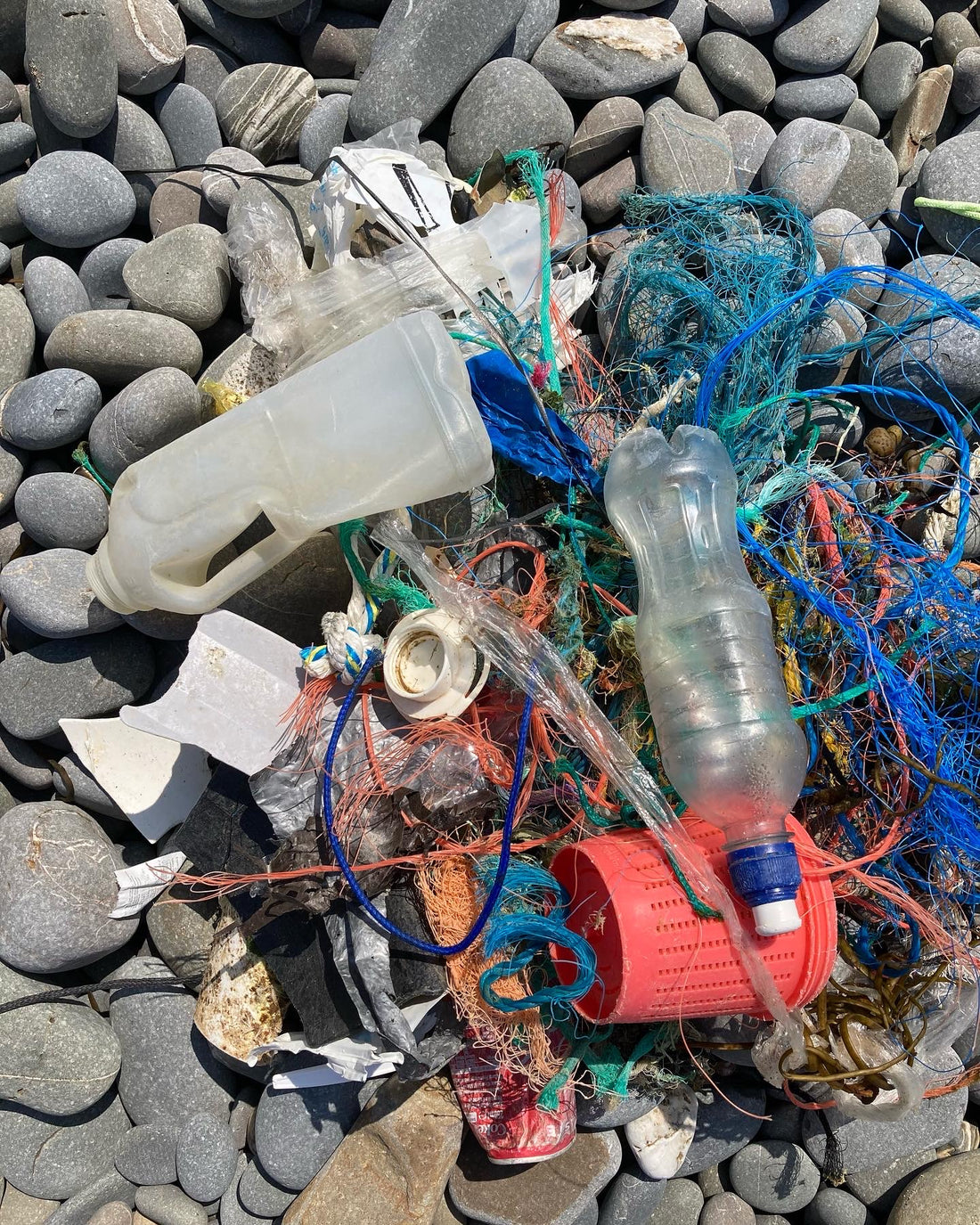 Bower Beach Clean July 2021: Results