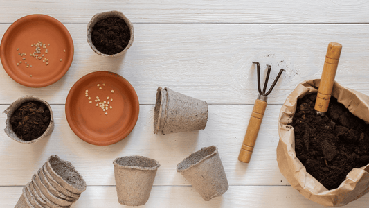 How do you make an eco garden?