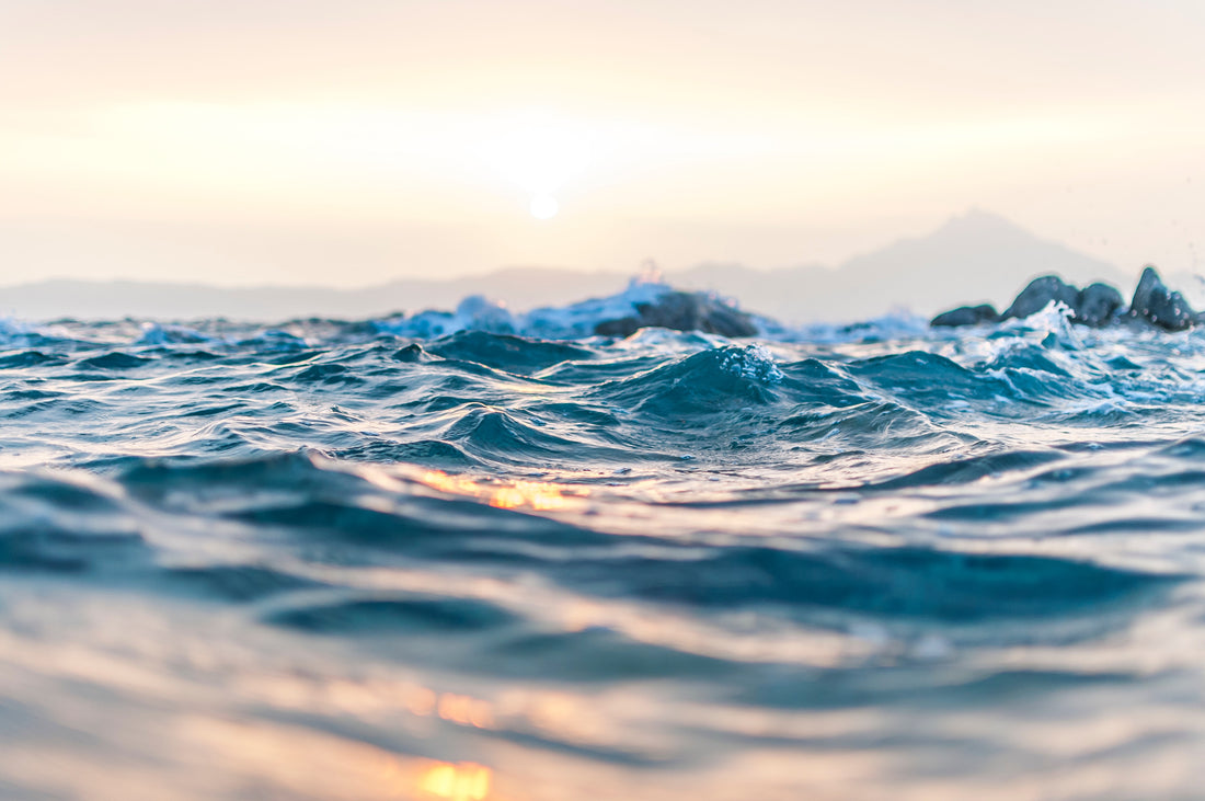 Why Does Plastic End Up In The Ocean?