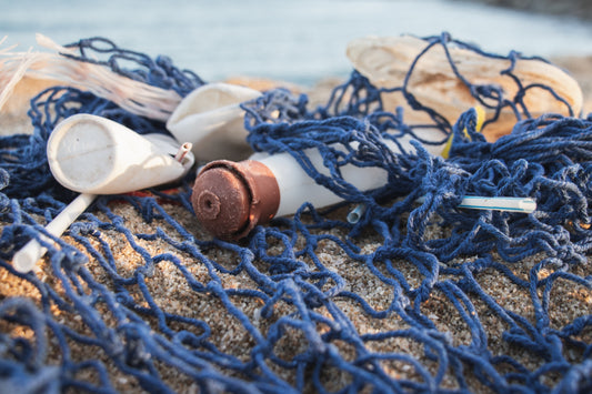 Our Disposable World and Reducing Disposable Products