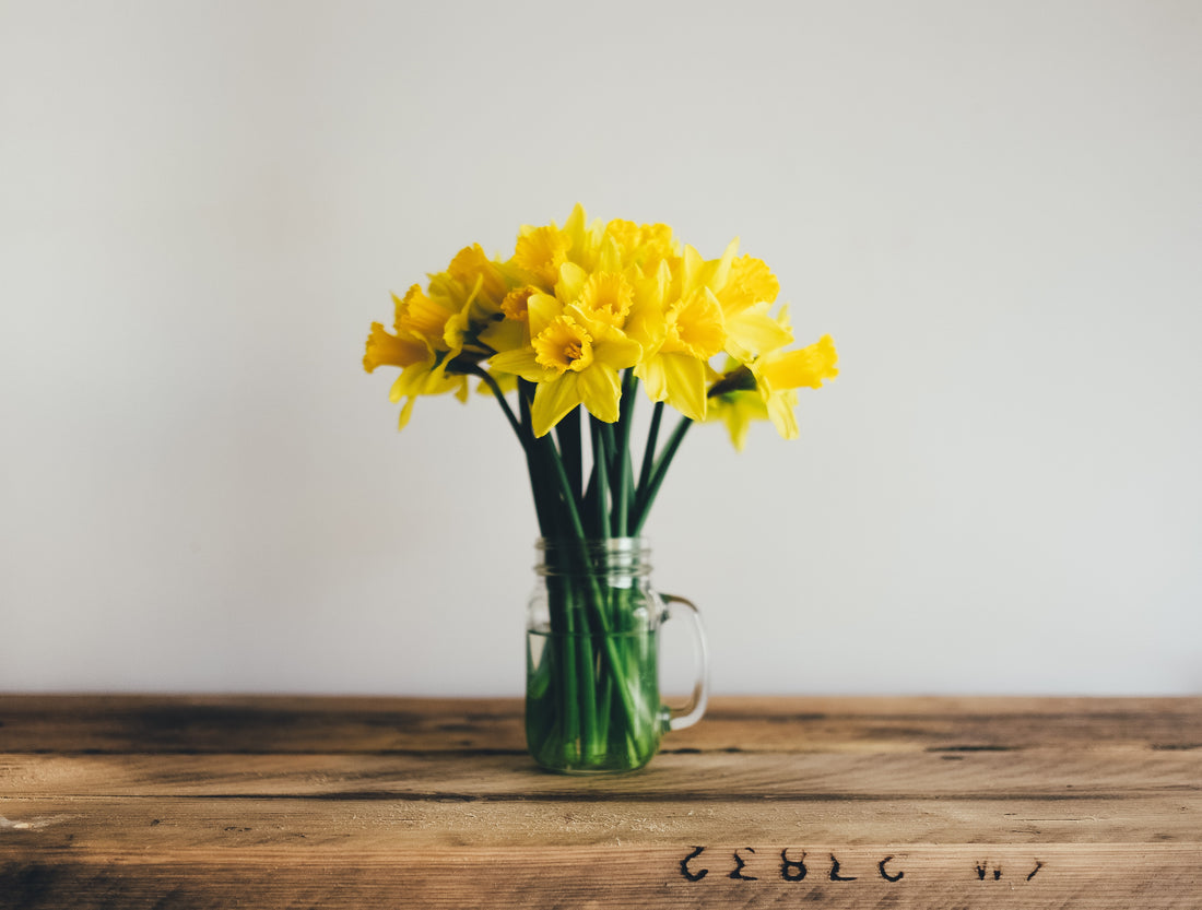 Spring Clean with Bower Collective and Sustainable Cleaning Products