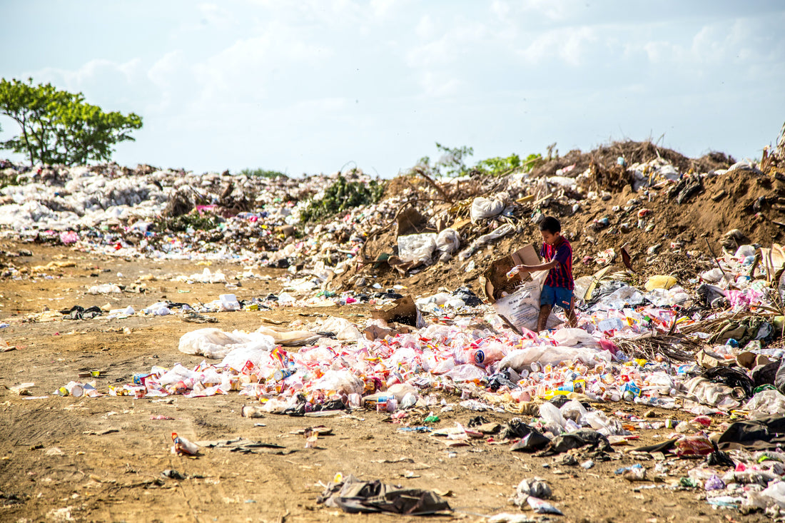 Reuse or Recycle: Which is Better? A Bower Collective Special Report