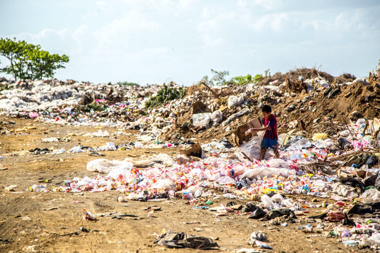 Reuse or Recycle: Which is Better? A Bower Collective Special Report