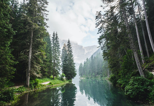 Four Top Tips for Coping with Eco Anxiety