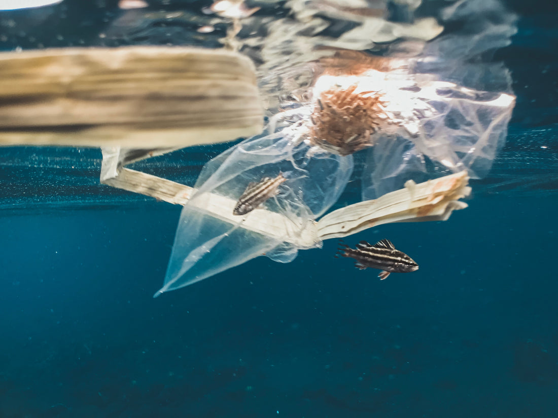 Breaking the Plastic Wave