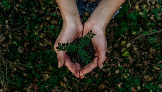 What Is Sustainable Living? Everything You Should Know