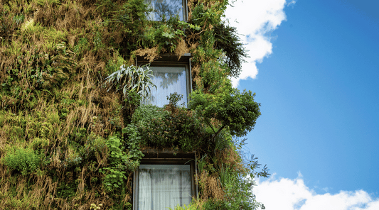 5 lessons from the most sustainable countries