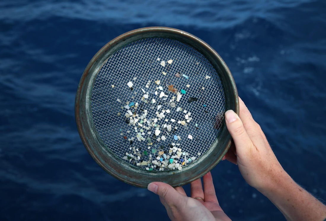 The Collective: Let's Come Together to Tackle Plastic Waste