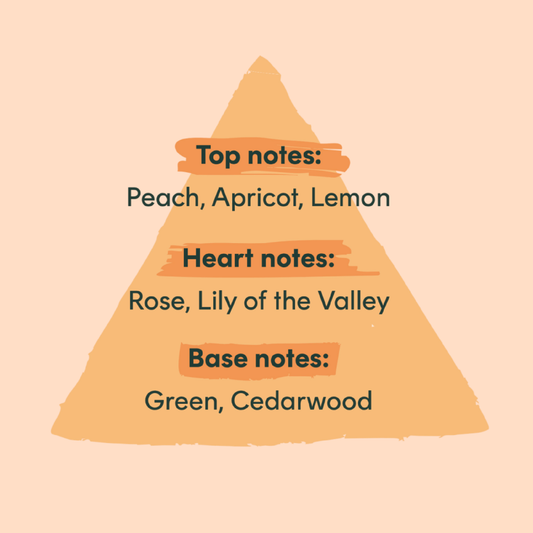 Fragrance notes